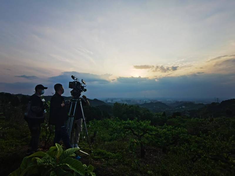 聚焦礼泉县产品宣传视频拍摄公司，用专业实力铸就品牌传播传奇