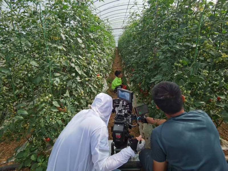 礼泉县产品宣传视频拍摄公司进阶指南，助力品牌抢占传播高地